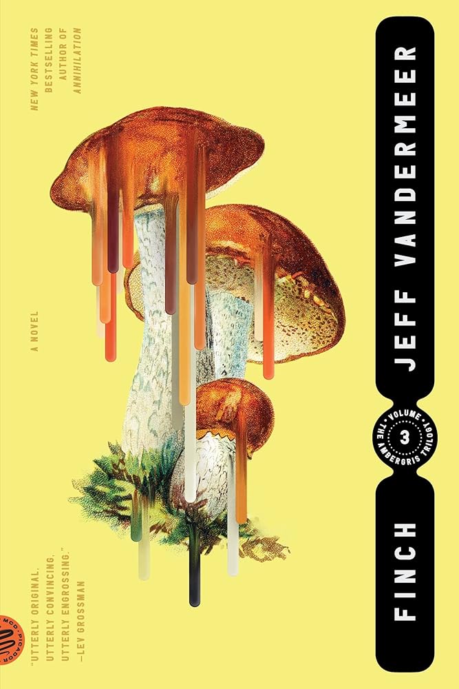 Finch (The Ambergris Trilogy, 3) cover image