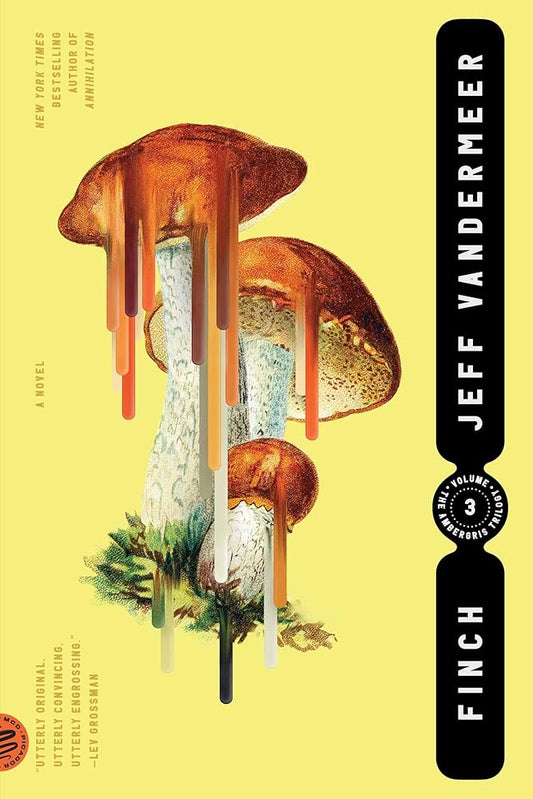 Finch (The Ambergris Trilogy, 3) cover image