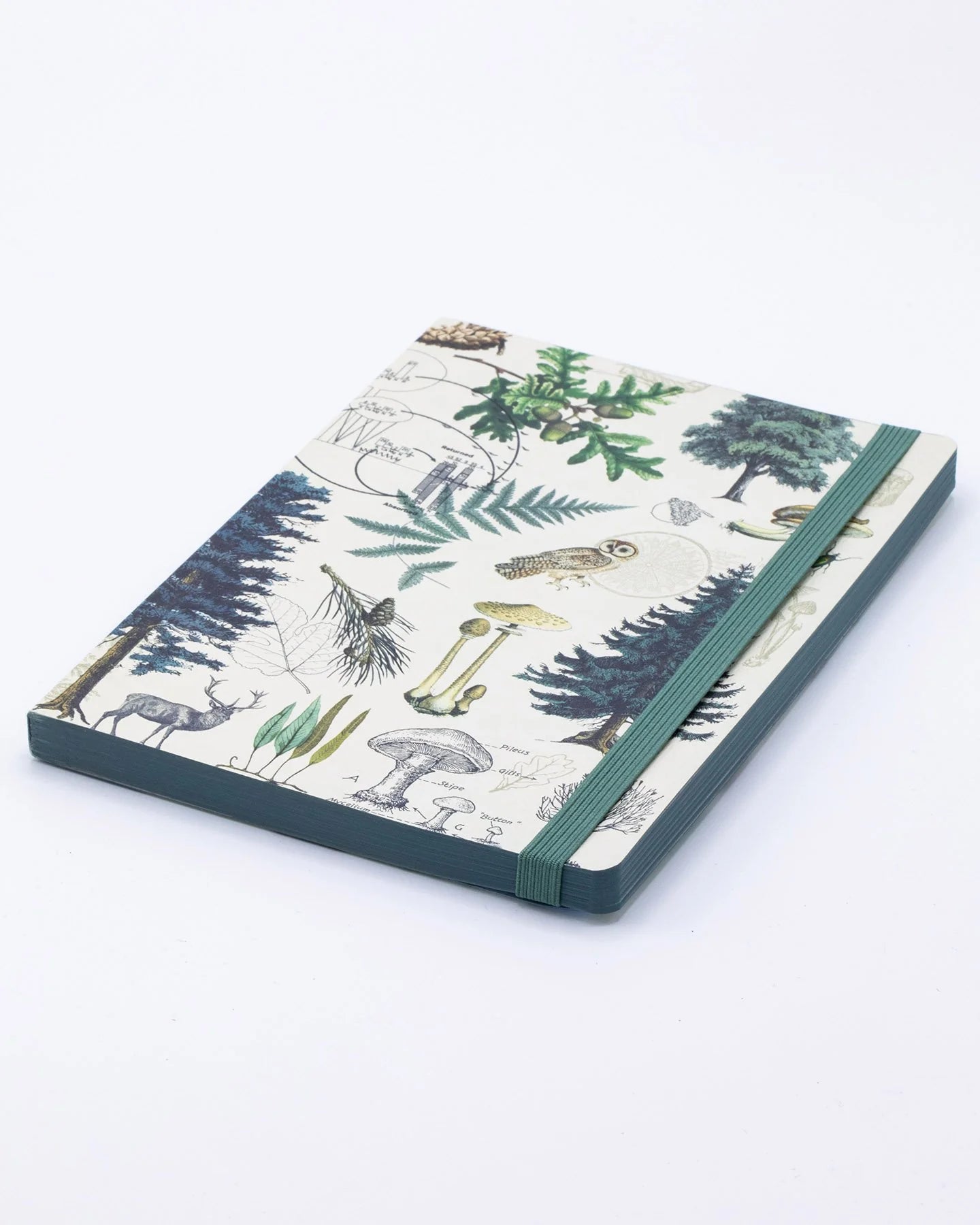 Cognitive Surplus Analysis A5 Softcover Notebook: Forest