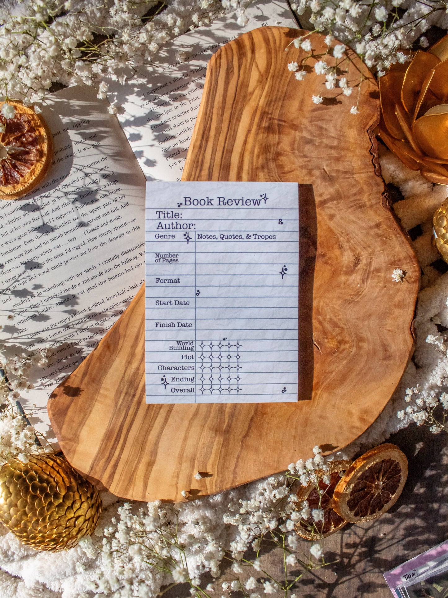4x6 Book Review Post-it Notepad | Type Writer