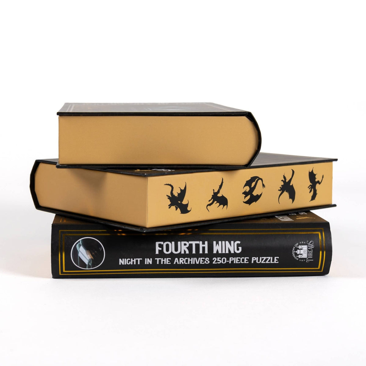 Night in the Archives Keepsake Puzzle | Fourth Wing